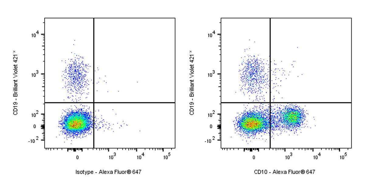 Alexa Fluor® 647 Mouse Anti-Human CD10 Antibody (S-713-5)