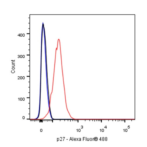 p27 Recombinant Rabbit mAb (SDT-R350)