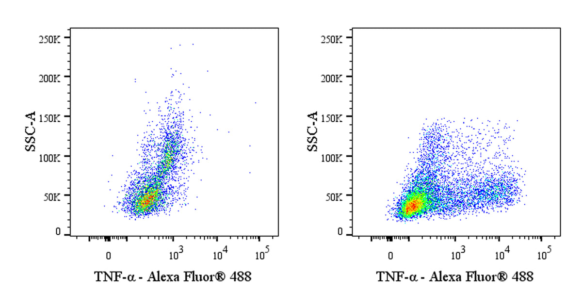 Mouse Anti-Human TNF-α Antibody (S-5629)