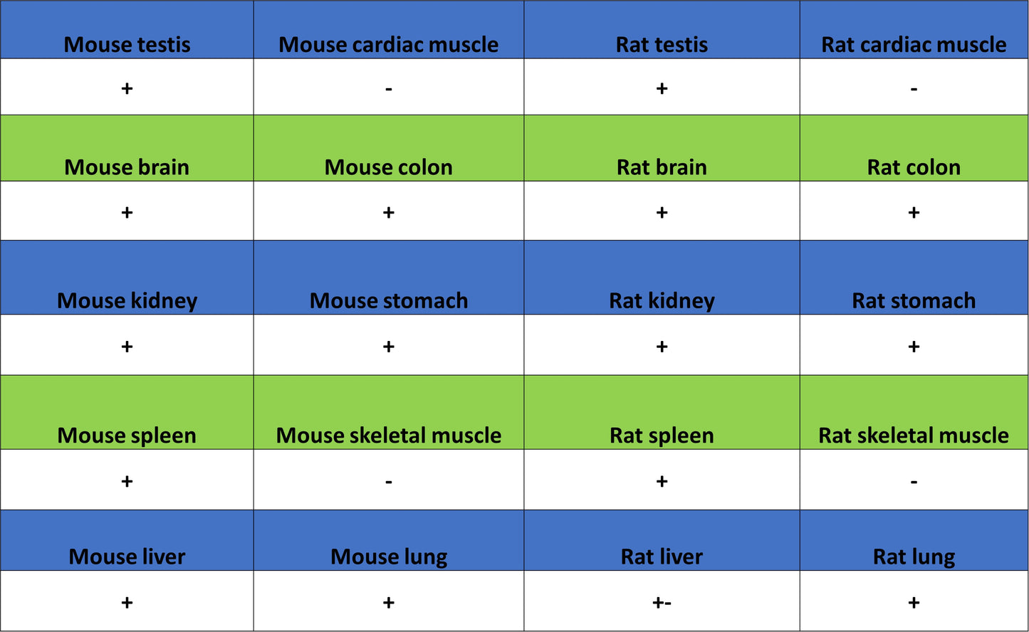 PTK7 Recombinant Rabbit mAb (SDT-2432-136)