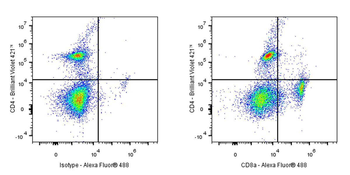 Rat Anti-Mouse CD8α Antibody (YTS 169.4)