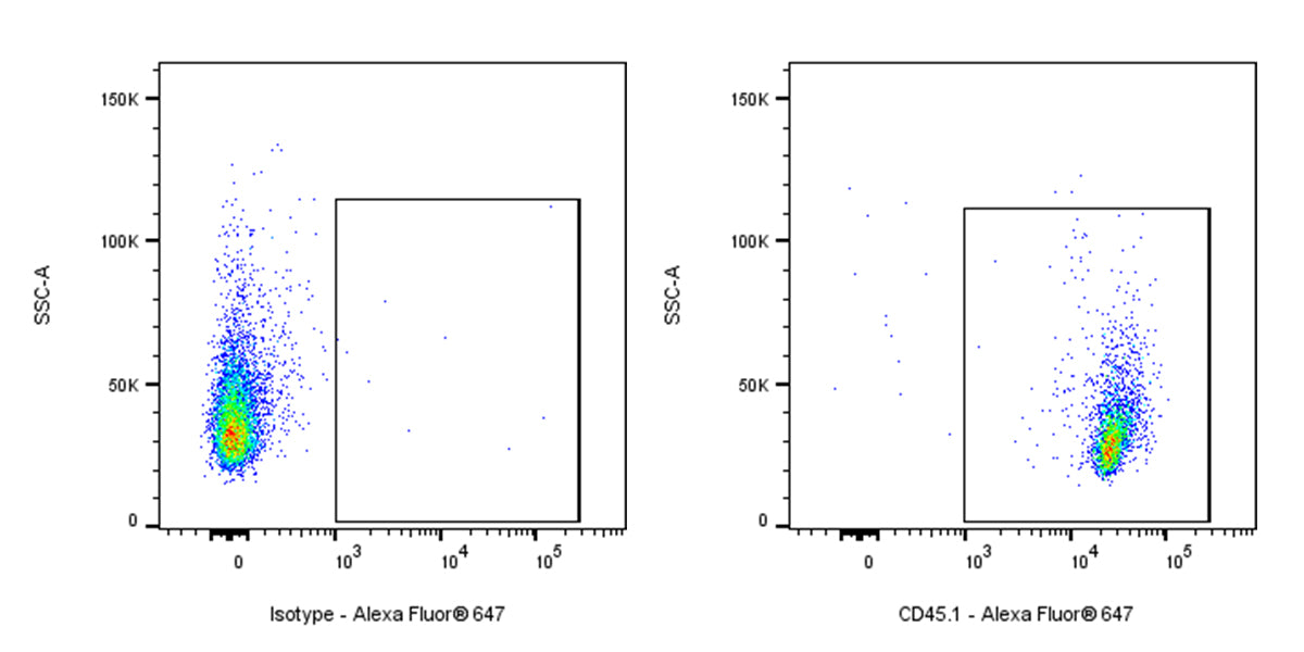 APC Mouse Anti-Mouse CD45.1 Antibody (A20)