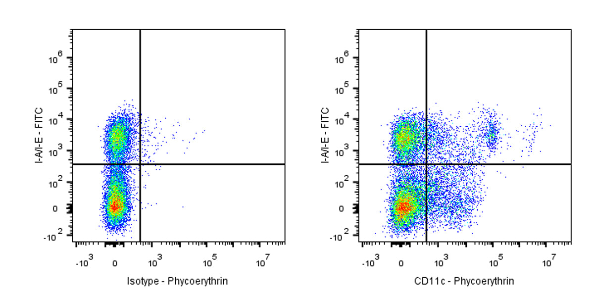 PE Armenian hamster Anti-Mouse CD11c Antibody (N418)