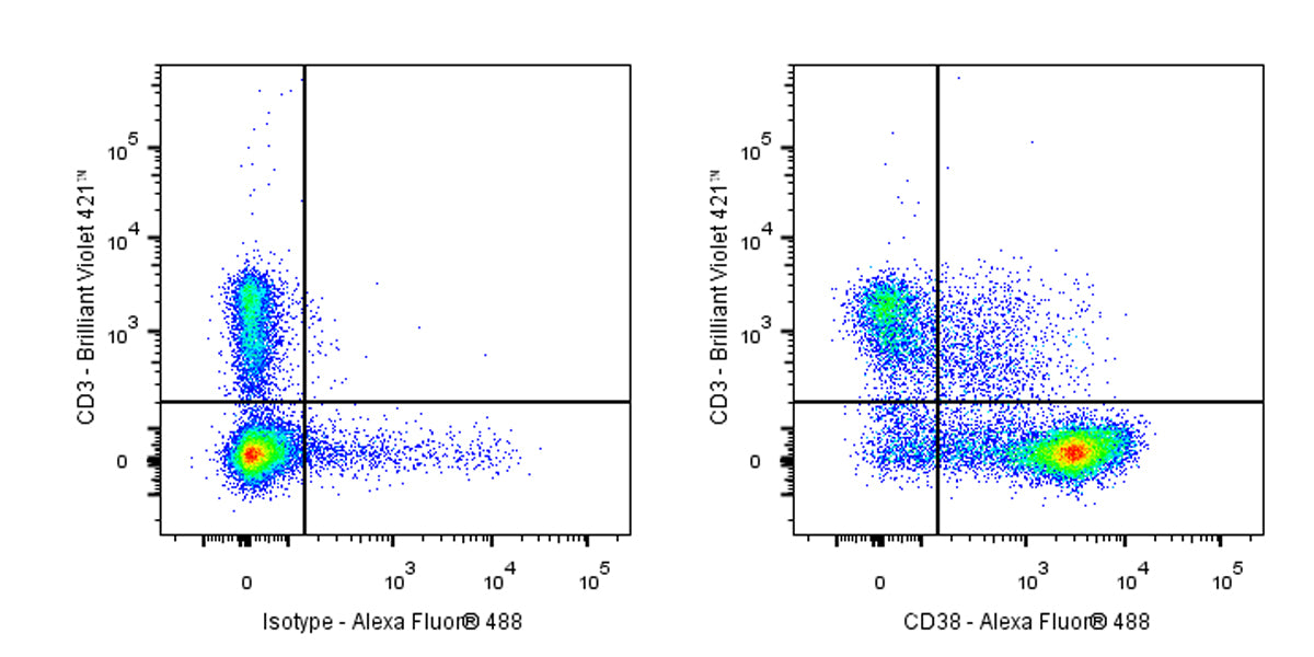 Alexa Fluor® 488 Rat Anti-Mouse CD38 Antibody (90)