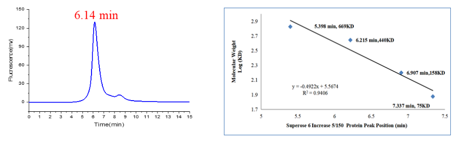 GLP1R full length Flag&His Tag Protein,Human