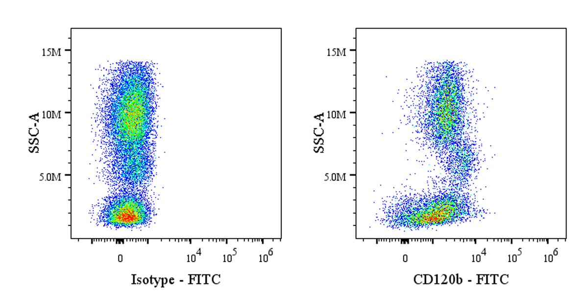 FITC Rat Anti-Human CD120b Antibody (S-4441)