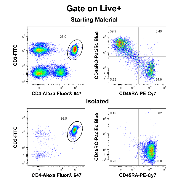 Human Naïve CD4 T Cell Isolation Kit (Column-Based)