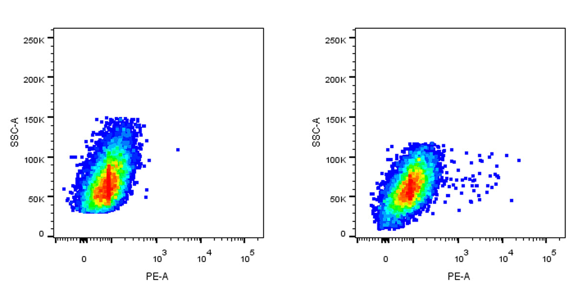 PE Mouse Anti-Human IL-17A Antibody (S-3341)