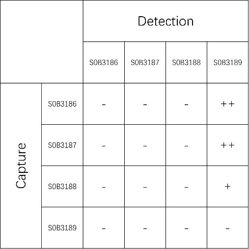 IL-25 Recombinant Rabbit mAb (SDT-615-14)