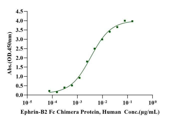 Biotinylated EphB4 His&Avi Tag Protein, Human