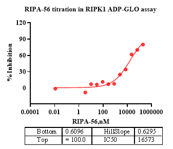 RIPK1 Protein, Mouse