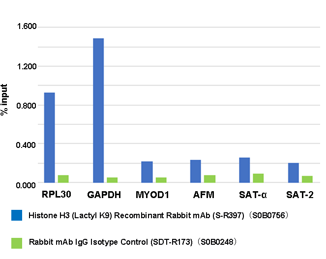 Histone H3 (Lactyl K9) Recombinant Rabbit mAb (S-R397)