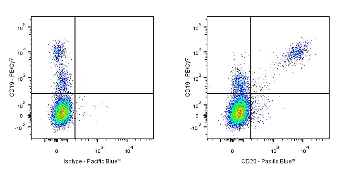 Pacific Blue Mouse Anti-Human CD20 Antibody (2H7)