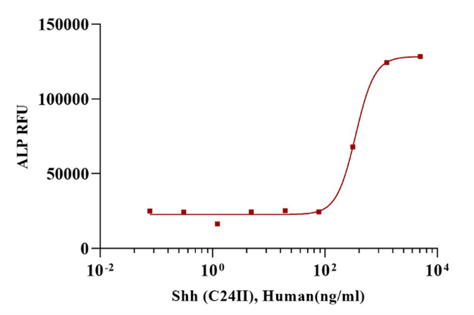 Shh (C24II) Protein, Human