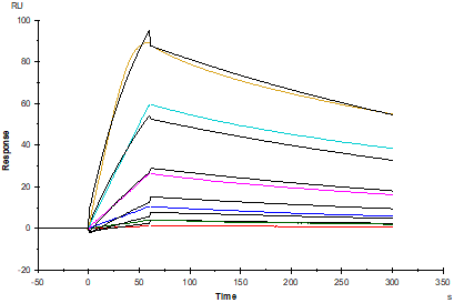IGFBP-3 His Tag Protein, Human