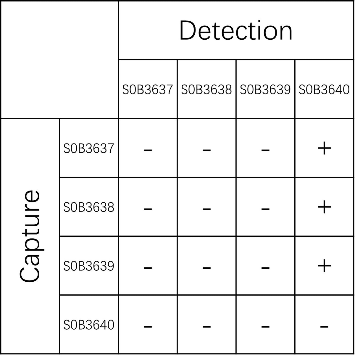 Rat IgE Recombinant mAb (SDT-2588-2)