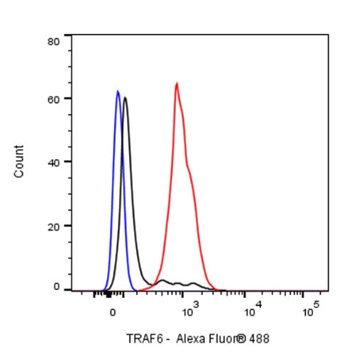TRAF6 Recombinant Rabbit mAb (S-1087-44)