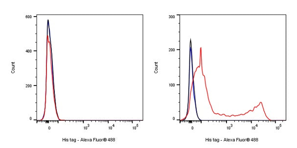 His tag (C-terminal) Recombinant Rabbit mAb (Alexa Fluor® 488 Conjugate) (S-1398-10)