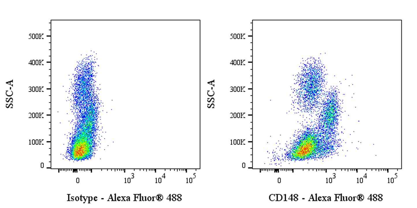 Alexa Fluor® 488 Mouse Anti-Human CD148 Antibody (S-3121)