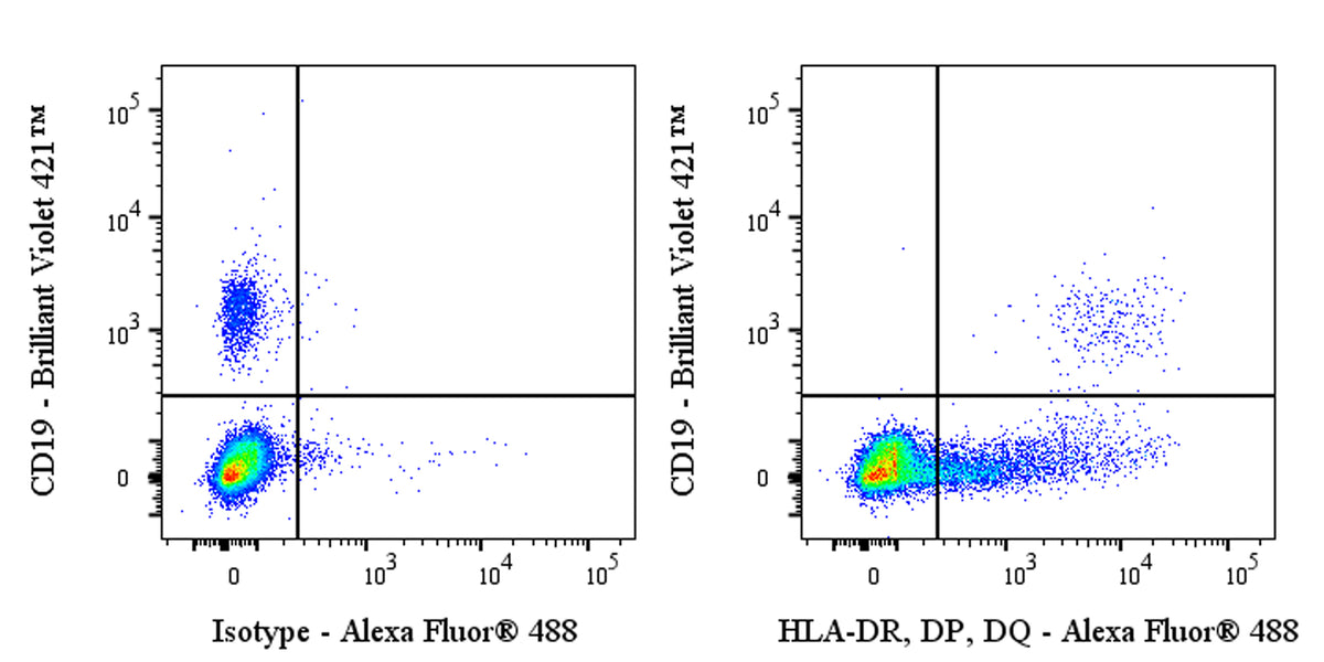 Mouse Anti-Human HLA-DR, DP, DQ Antibody (Tu39)