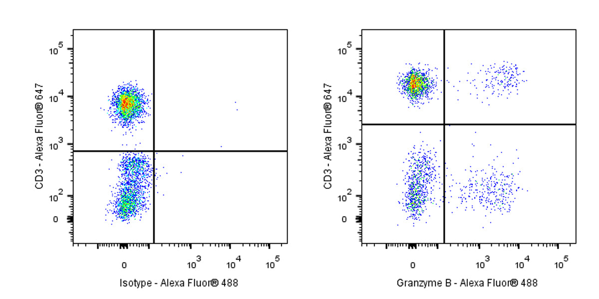 Alexa Fluor® 488 Mouse Anti-Human/Mouse Granzyme B Antibody (S-2865)