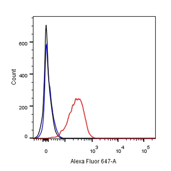 β-actin Recombinant Rabbit mAb (Alexa Fluor® 647 Conjugate) (SDT-R015)