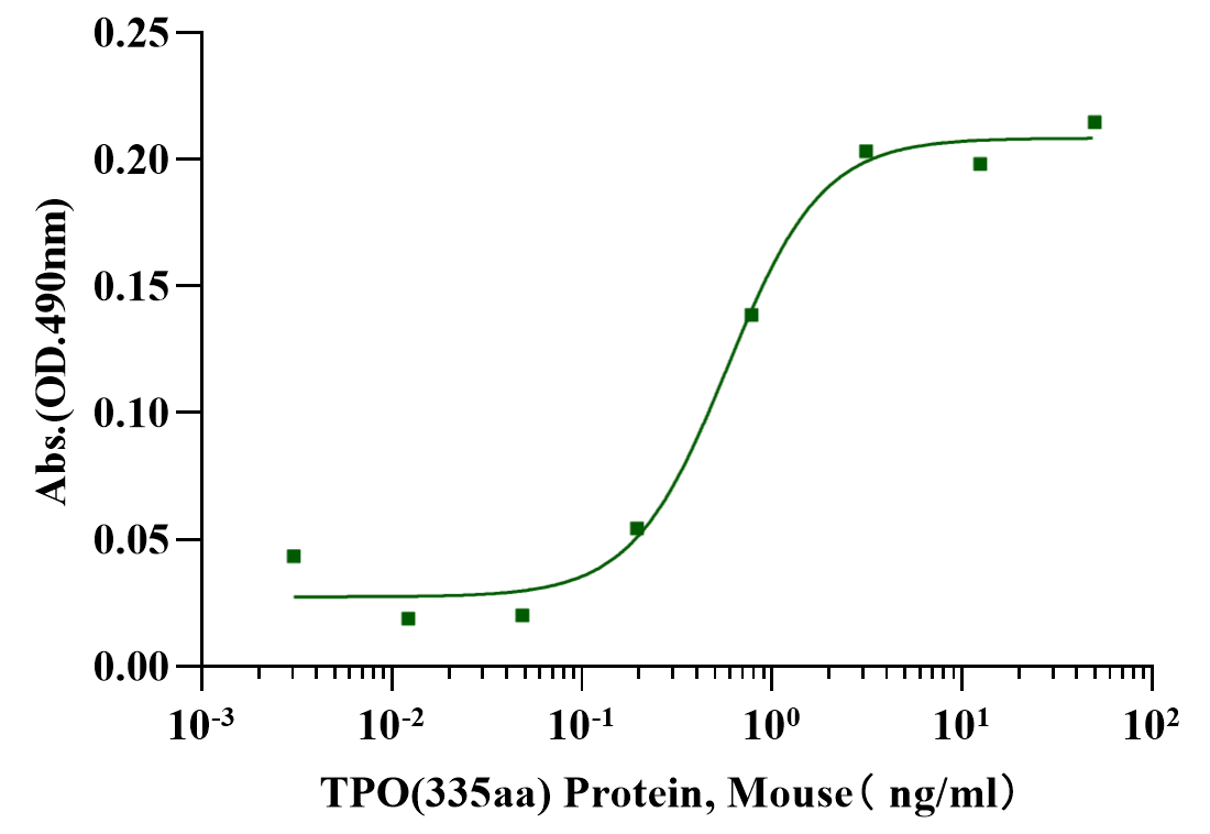 TPO (335aa) Protein, Mouse