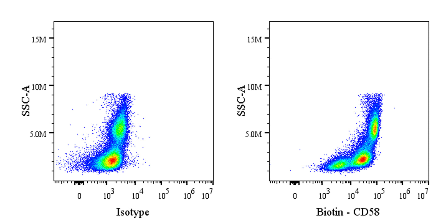 Biotin Rabbit Anti-Human CD58 Antibody (S-1046-14)