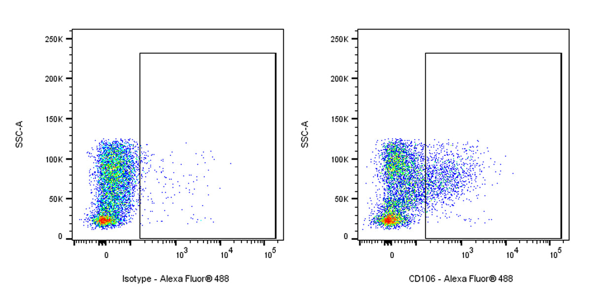 Rat Anti-Mouse CD106 Antibody (S-R733)