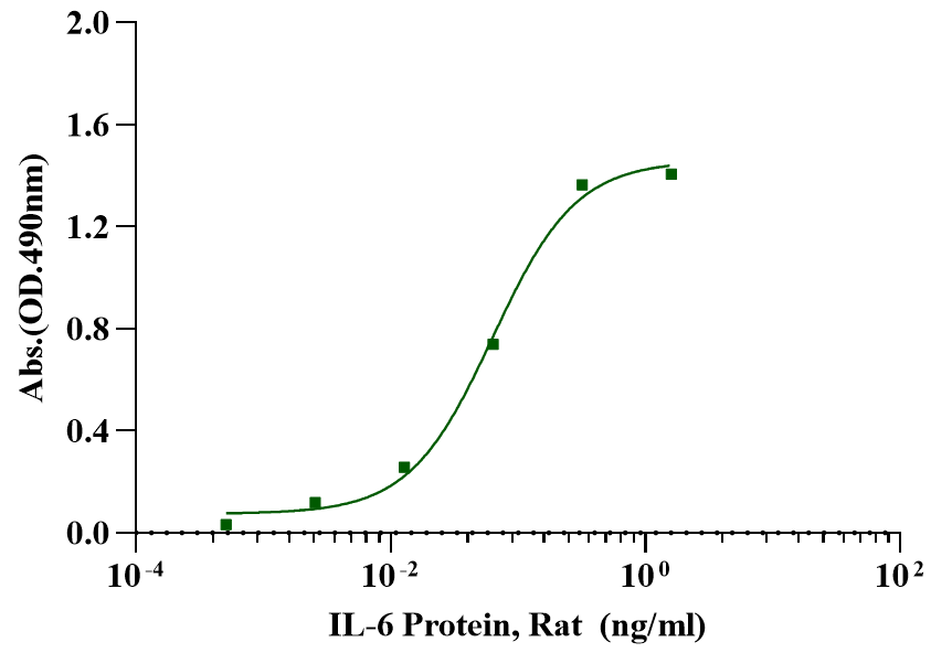 IL-6 Protein, Rat