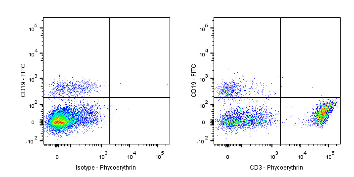 PE Mouse Anti-Human CD3 Antibody (UCHT1)