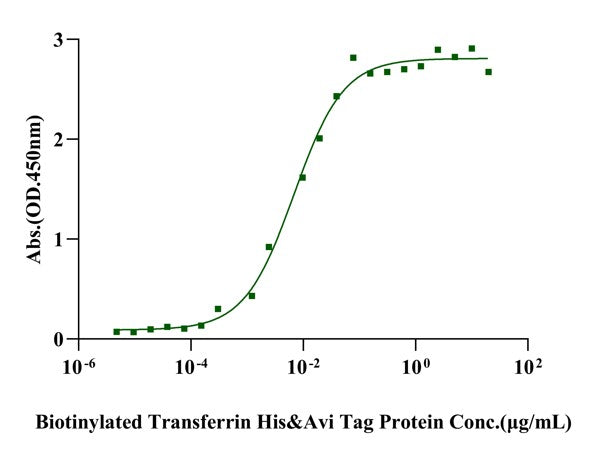 TfR/CD71 His Tag Protein, Cynomolgus