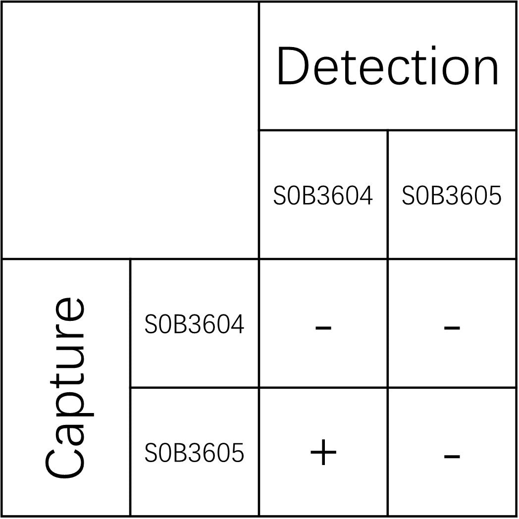 PACAP Recombinant Rabbit mAb (SDT-2455-57)