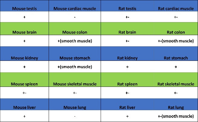 TLR4 Recombinant Mouse mAb (SDT-3305)
