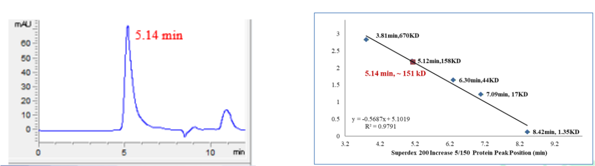 Biotinylated BRD4 Protein, Human
