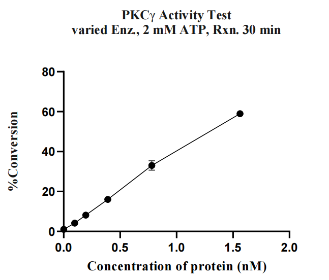 PKCγ GST Tag Protein, Human