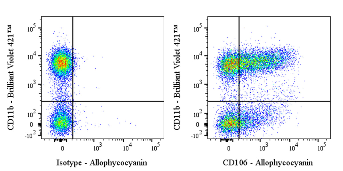 APC Rat Anti-Mouse CD106 Antibody (S-R733)