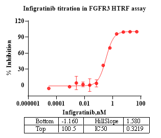 FGFR3 Protein