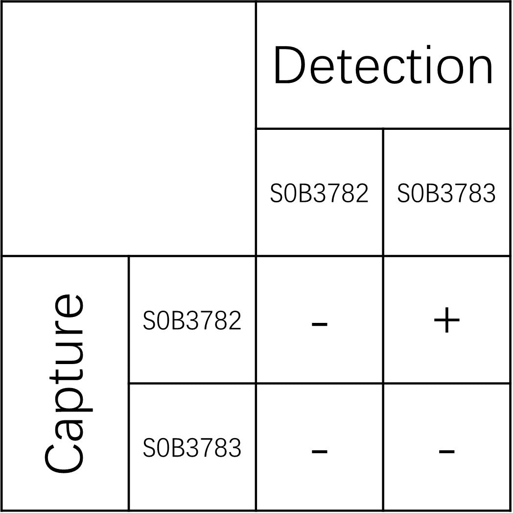 GSK3β Recombinant Rabbit mAb (SDT-1209-170)
