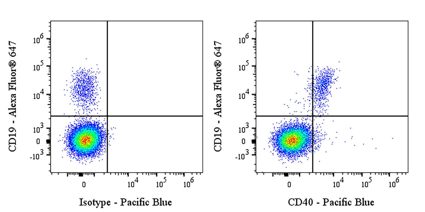 Pacific Blue Rabbit Anti-Human CD40 Antibody (S-145-45)