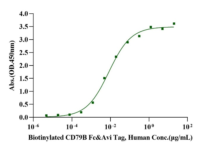 Biotinylated CD79B Fc&Avi Tag Protein, Human
