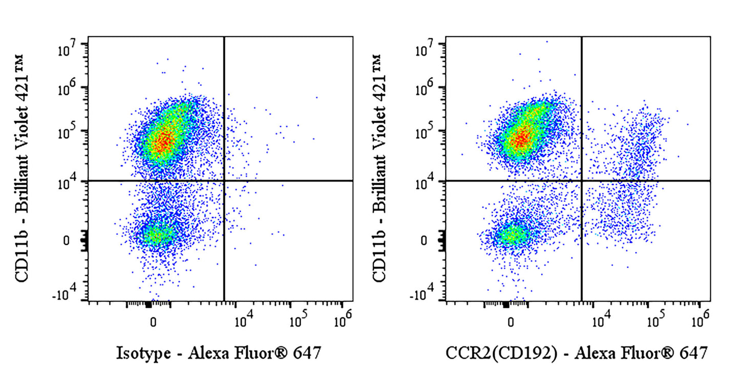 Invivo Anti-Mouse CCR2 (CD192) Recombinant mAb