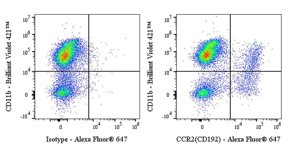 Invivo Anti-Mouse CCR2 (CD192) Recombinant mAb