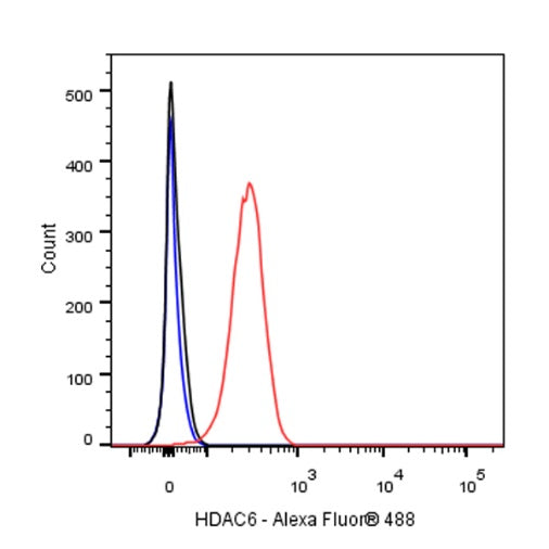 S-RMab®HDAC6 Recombinant Rabbit mAb (S-R338)