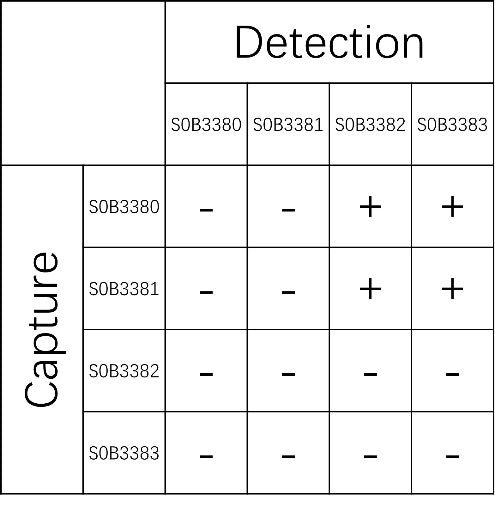 IL-7 Recombinant Rabbit mAb (SDT-1698-51)