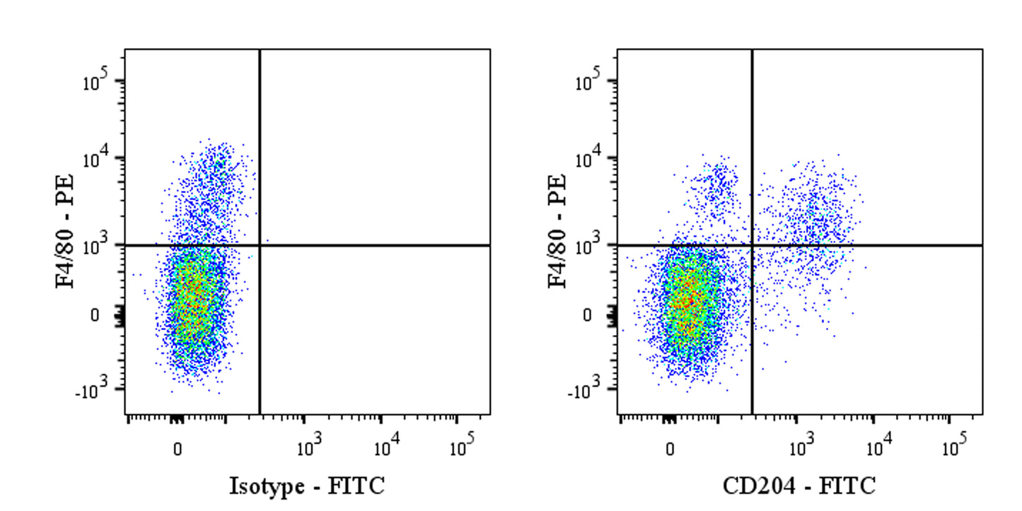 FITC Rat Anti-Mouse CD204 Antibody (S-R712)