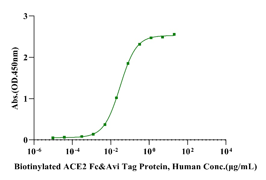 Spike His Tag Protein, SARS-CoV-2(R682S,R685S,K986P&V987P)