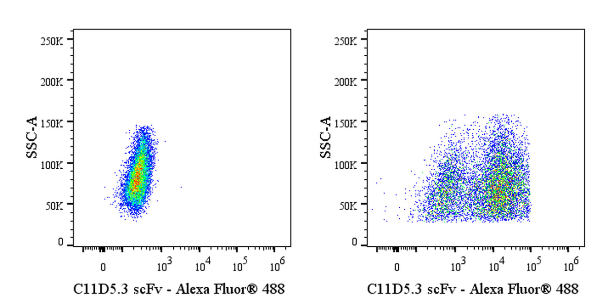 Anti-Mouse C11D5.3 scFv (Anti-BCMA CAR-T) Recombinant Rabbit mAb (Alexa Fluor® 488 Conjugate) (S-5414)