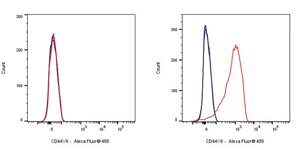 CD44v6 Mouse mAb (S-945-76)