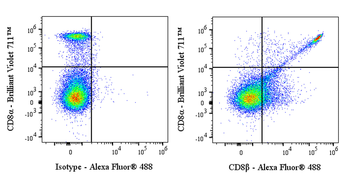 Alexa Fluor® 488 Rat Anti-Mouse CD8β Antibody (53-5.8)